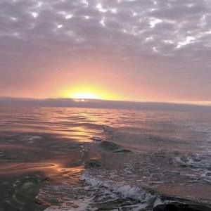 Meet your Posher, BJ